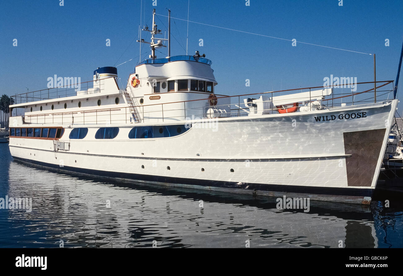 Famous Hollywood movie actor John Wayne once owned this luxury yacht, the Wild Goose, which currently is a for-hire party boat based in his former hometown of Newport Beach, California, USA. The Duke, as Wayne was nicknamed, spent more than a million dollars converting a U.S. Navy minesweeper from World War II into his 136-foot (41.5-meter) pleasure craft in 1962. Wayne and his extended family used the impressive vessel for 17 years until his death at the age of 72. Brunch and dinner cruises operated by the Hornblower company now offer everyone an opportunity to sail on the historic ship. Stock Photo