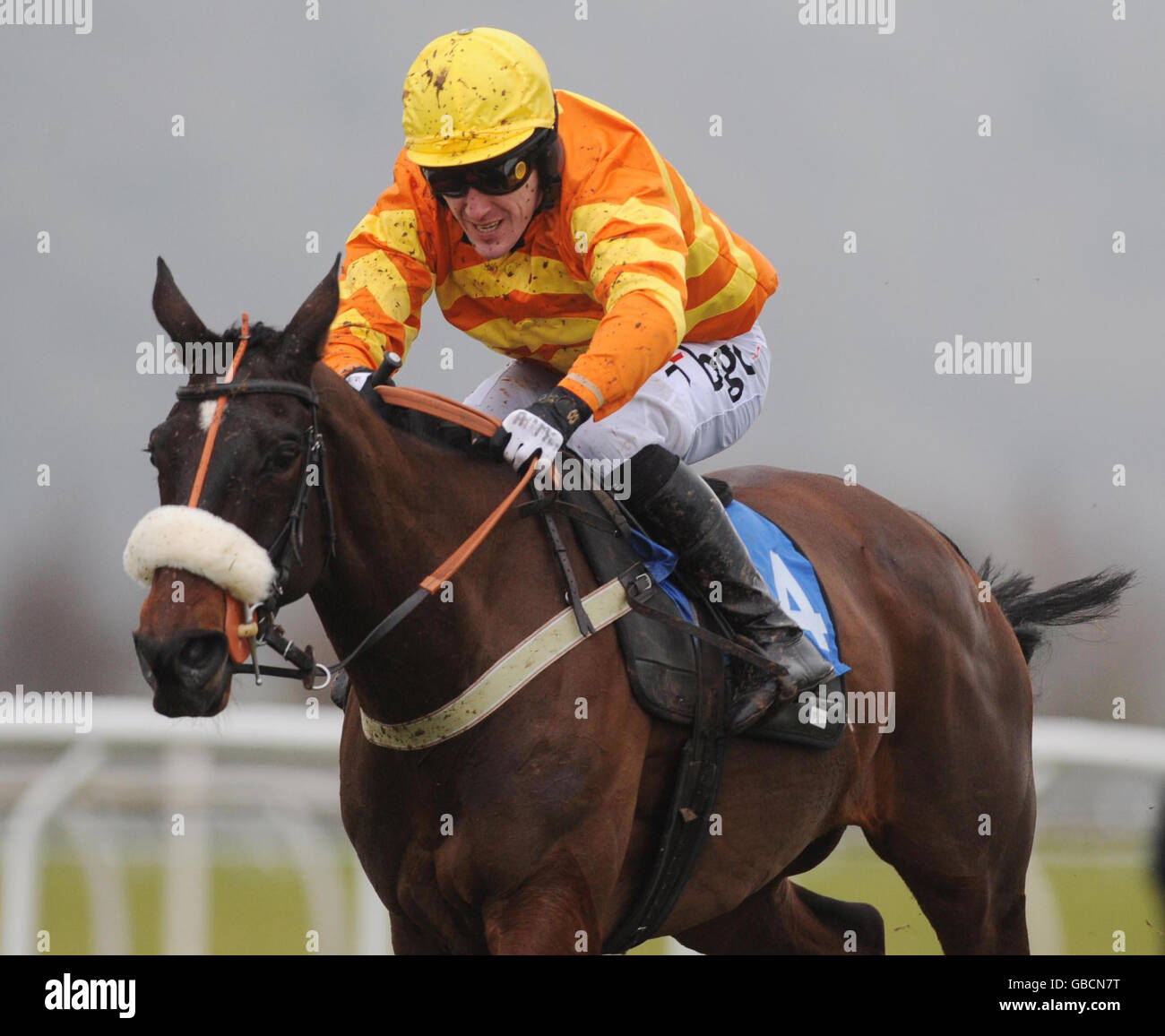 Horse Racing - Taunton Racecourse. Tony McCoy on Jokers Legacy finishes in second position in the Deane Veterinary Centre Novices' Hurdle at Taunton Racecourse, Somerset. Stock Photo