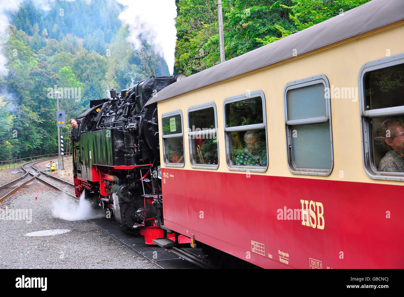 Schmalspurbahn, Harzer, Harz, Brocken, Sachsen-Anhalt, Deutschland Stock Photo
