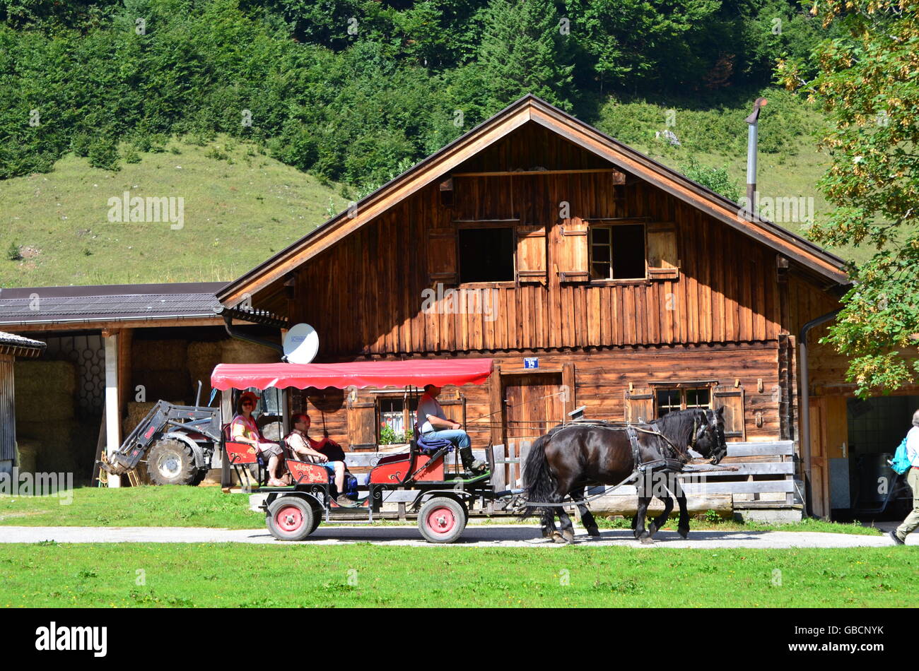 Almdorf, Almhuette, Pferdekutsche, Engalm, Wandergebiet, Tirol, Oesterreich Stock Photo