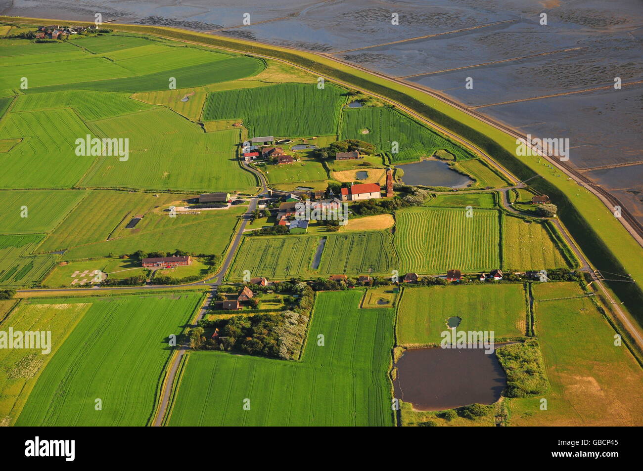 Wattenmeer, Nordsee, Nordfriesland, Nordseeinsel, Pellworm, Landschaft ...