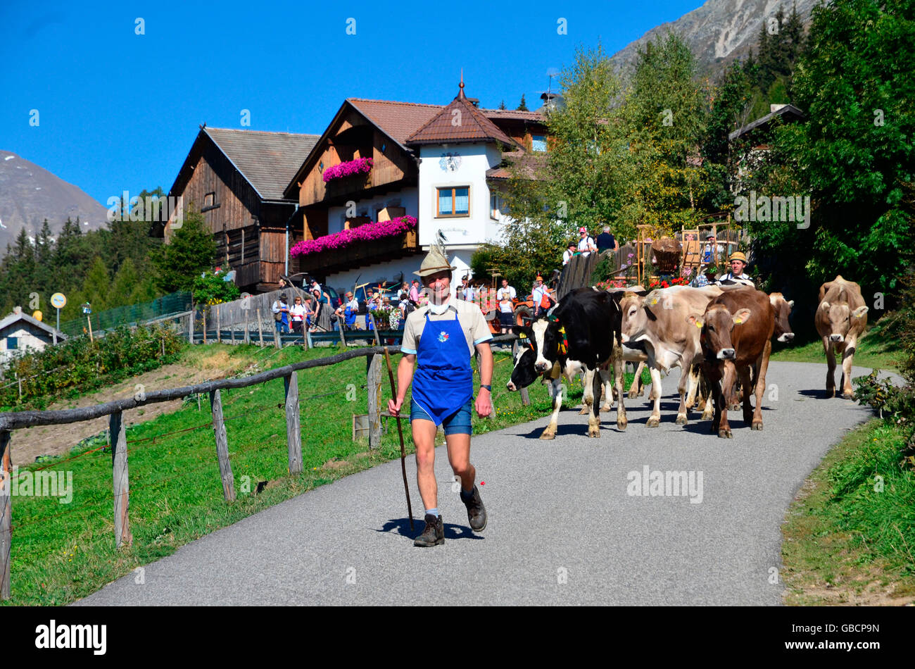Parade, alp celebration, alpine farmers, Puster Valley, Meransen, Muhlbach, South Tyrol, Italy / Mühlbach Stock Photo