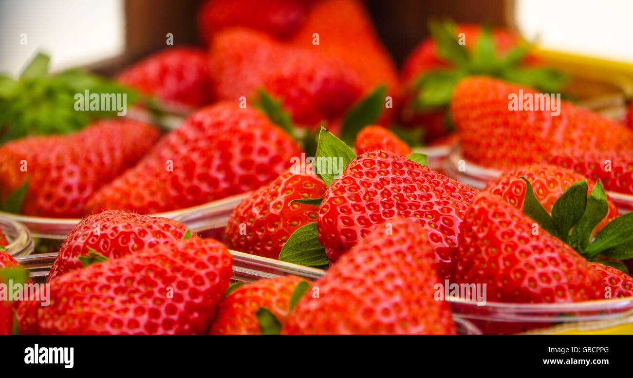 Fresh strawberries - close up shot Stock Photo - Alamy