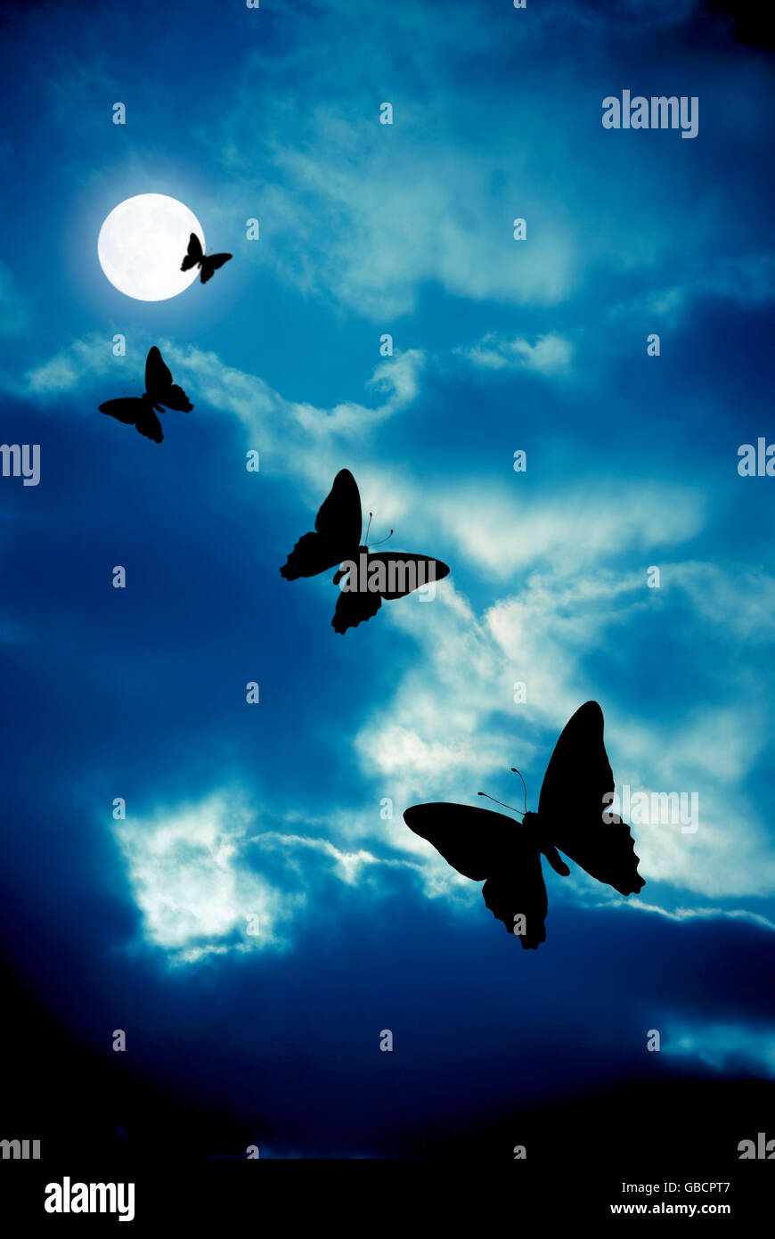 four butterflies flying at night to the moon Stock Photo
