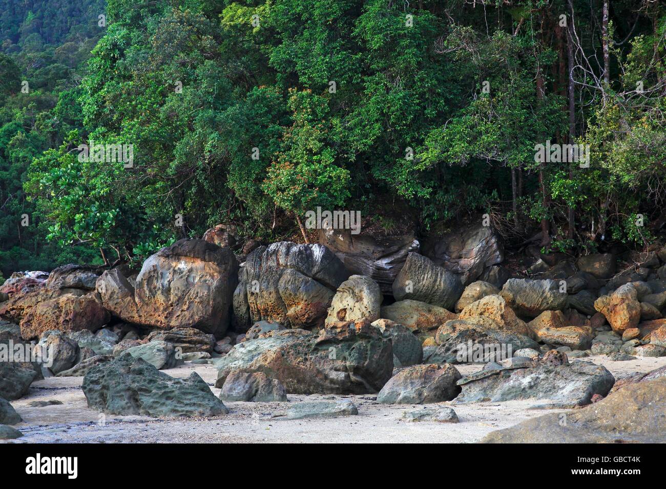 Strand mit Felsen und Regenwald, Permai Rainforest, Santubong, Suedchinesisches Meer, Sarawak, Borneo, Malaysia, Asien Stock Photo