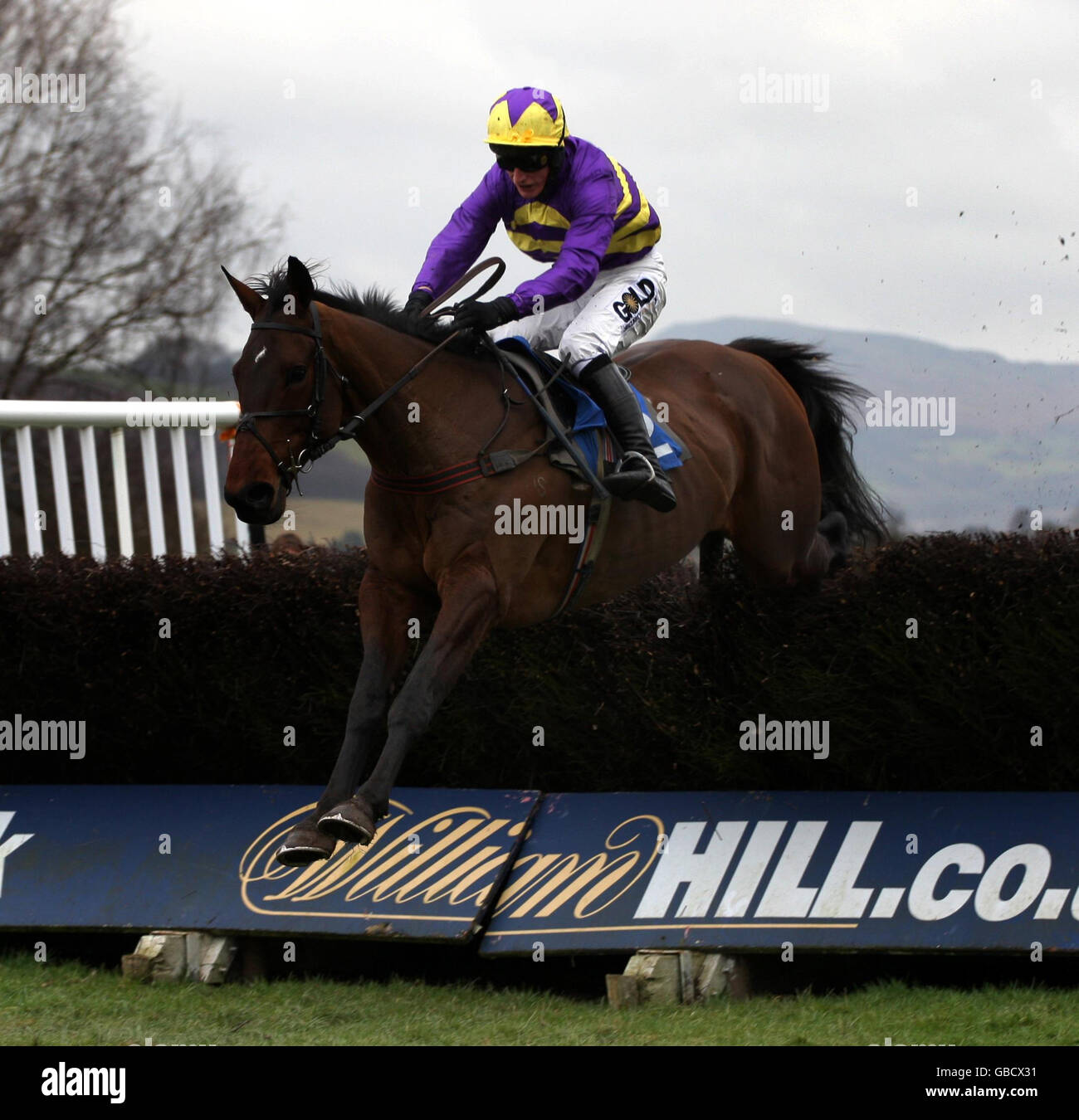 Racing ludlow riding rides jumping jumps fence hi-res stock photography ...