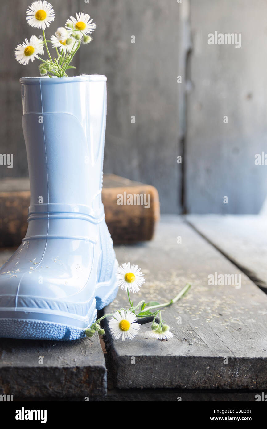 flower background, daisy and boots on a old vintage table, Stock Photo