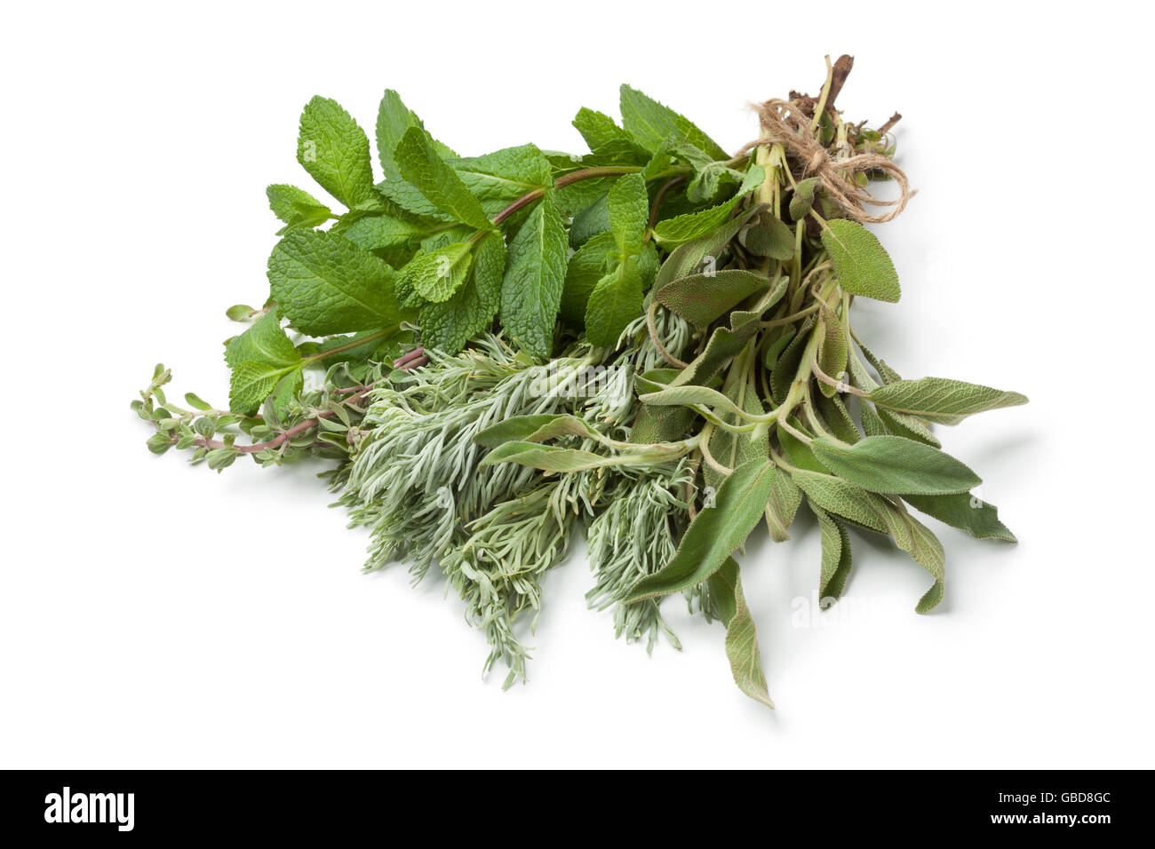 Bouquet of fresh Moroccan herbs on white background Stock Photo