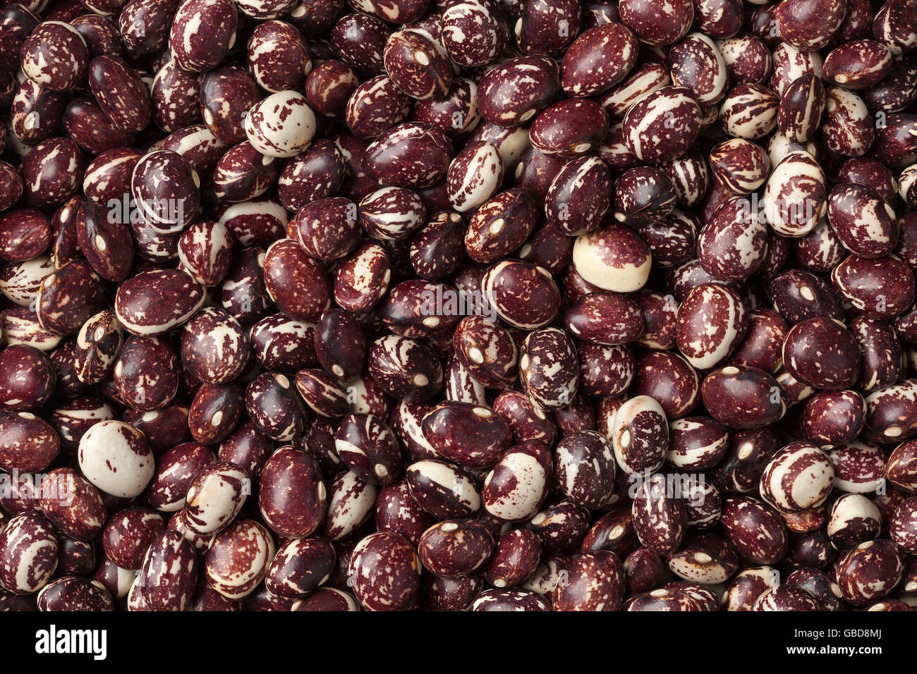 Good mother stallard beans full frame Stock Photo