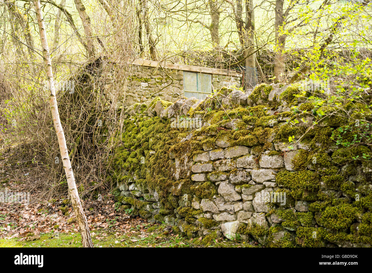 Exploring Hope Valley with the wonderful views and Dales beneath Peverell Castle. Rural England at its best. Stock Photo