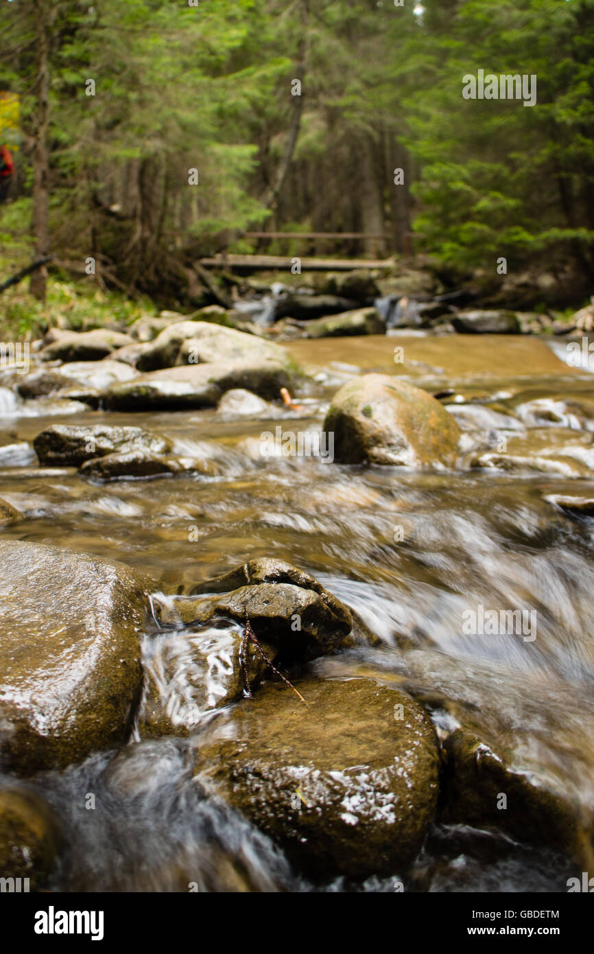 A waterfall in forest, spring, long exposure. Stock Photo