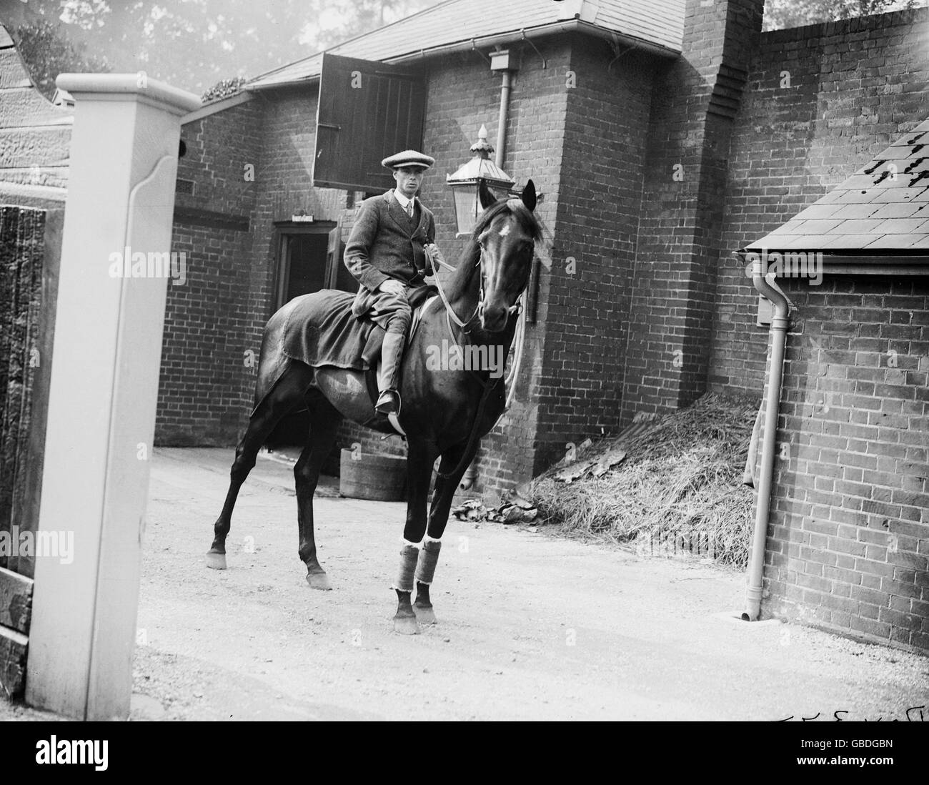 Horse Racing - Derby Winner - Epsom Downs Racecourse - 1911. Sunstar, the 1911 Derby winner. Stock Photo