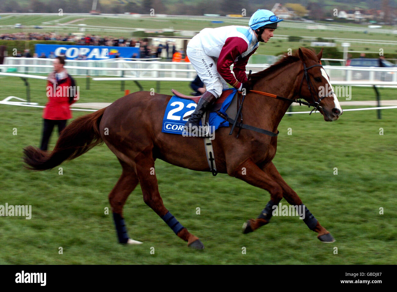 Almaravide ridden by Matthew Batchelor goes to post for The Coral Cup (Handicap Hurdle Race) Stock Photo