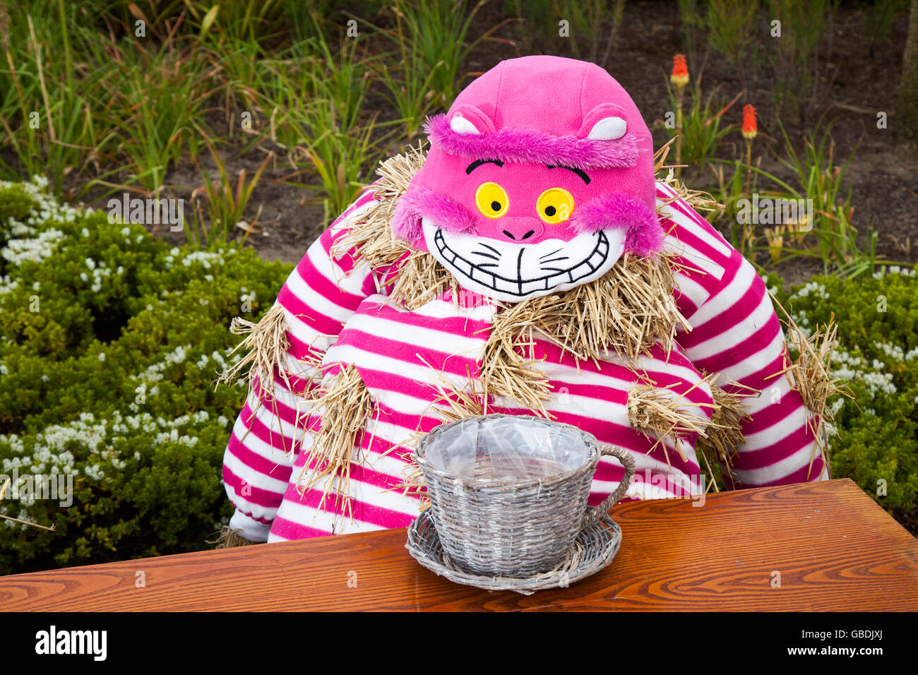 Grinning Cheshire Cat in pink at Mad Hatter's Tea Party, Alice in Wonderland effigy or Scarecrow assembled for the Fleetwood Festival   Tea party with the Mad Hatter,  Alice's Adventures in Wonderland, Lancashire, UK Stock Photo