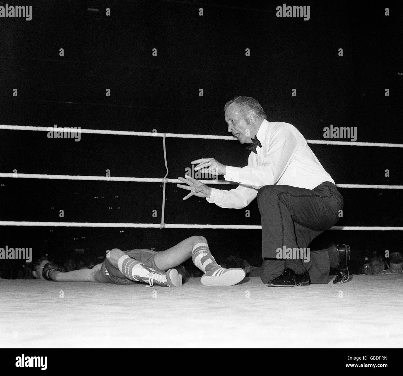 Referee James Brimell kneels over the outstretched figure of Dave 'Boy' Green, Britain's light-welterweight champion, whose world title bid was halted at the Empire Pool, Wembley this evening when a tremendous left hook from defending champion Carlos Palomino put him out for the count in the 11th of the scheduled 15-round world championship contest. Stock Photo