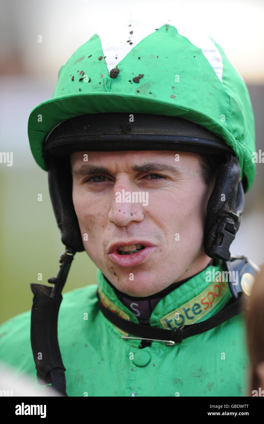 Horse racing royal artillery gold cup day sandown park hires stock