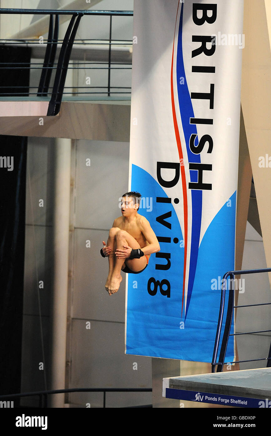 Diving British Diving Championships 2009 Ponds Stock Photo