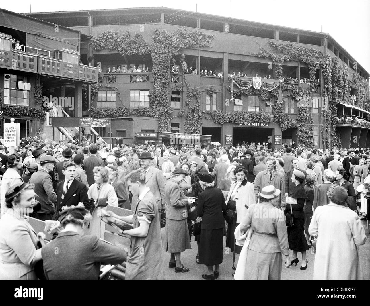 Tennis Wimbledon Championships Stock Photo Alamy