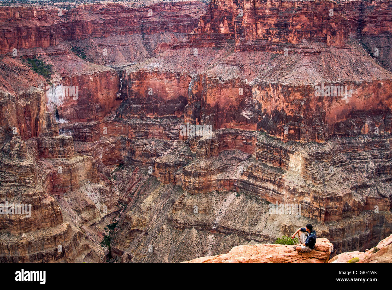 Hiker looking at Grand Canyon from Toroweap Point, 1000 meters above Colorado River, Arizona, USA Stock Photo