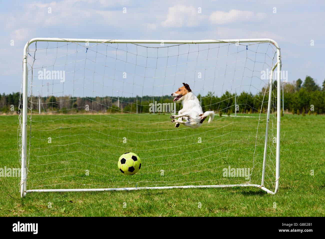 Scoring goal to funny goalie jumping to save it Stock Photo - Alamy