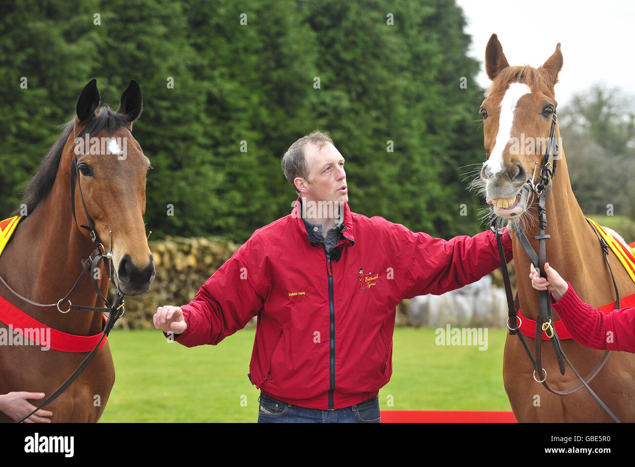 Horse trainer in stable hires stock photography and images Alamy