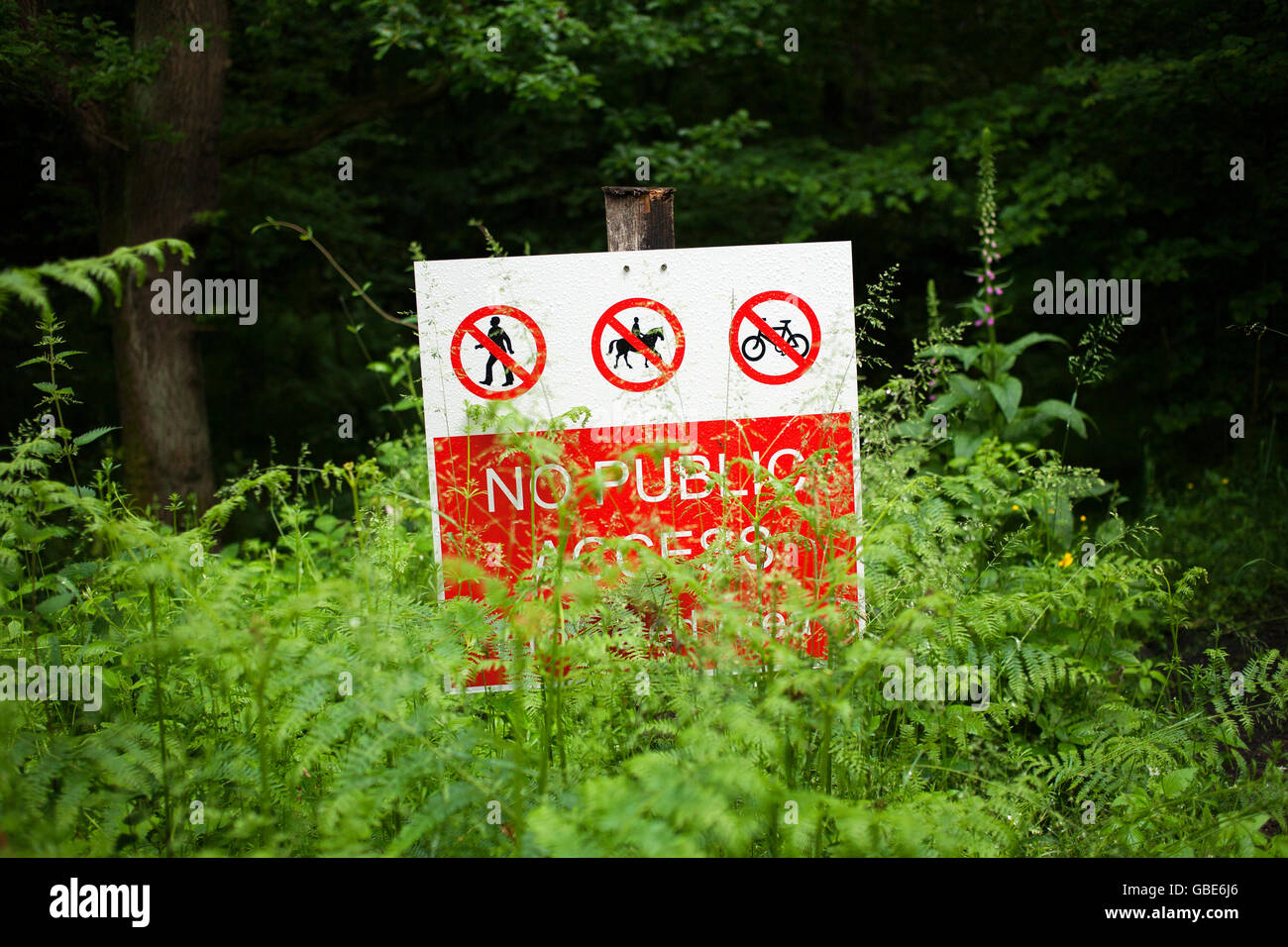 No Public Access warning sign on the edge of Priestfield Wood in County Durham. Stock Photo