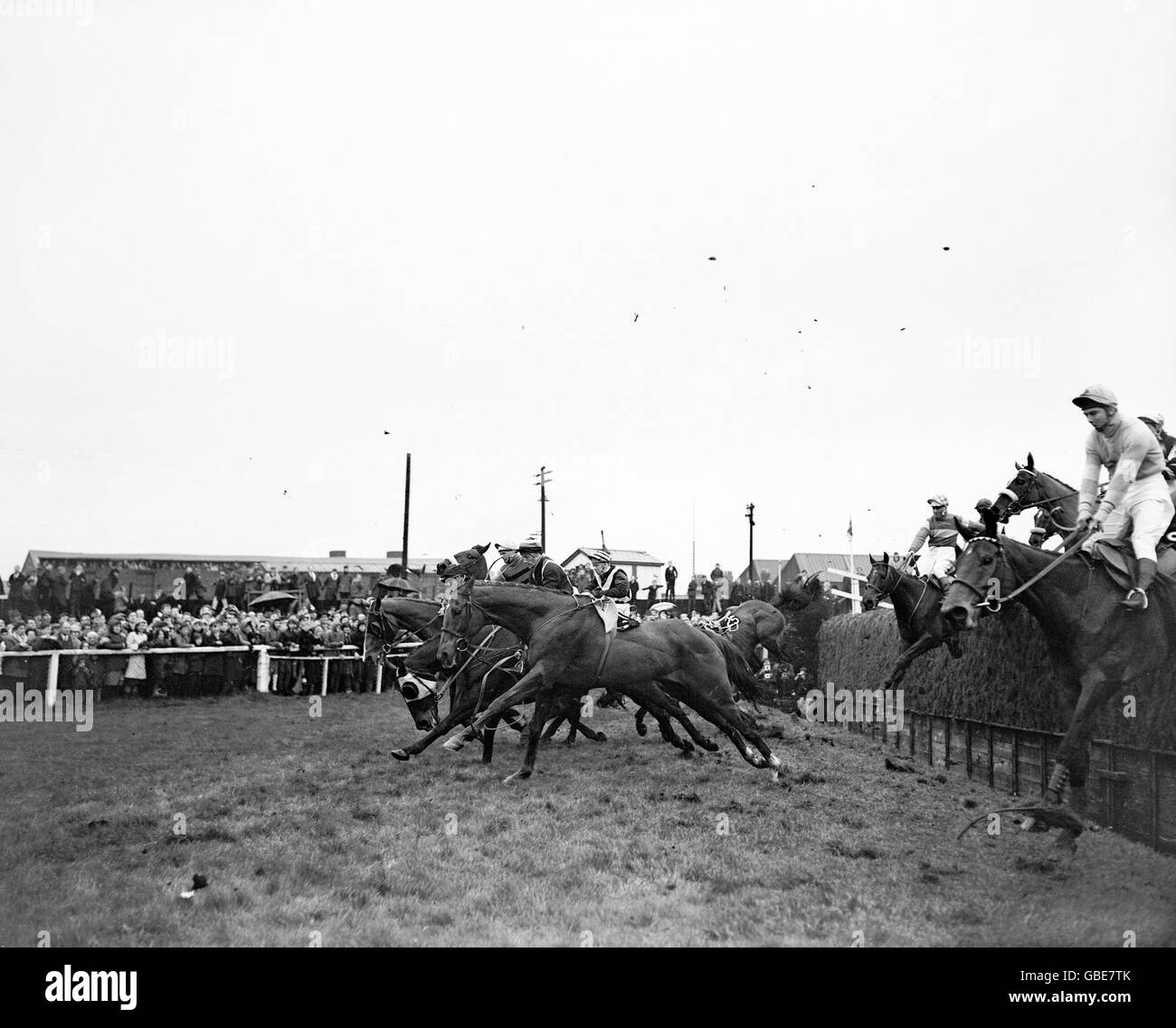 Eventual winner Foinavon (c, head down), John Buckingham up, stumbles as other horses fall at Becher's Brook Stock Photo