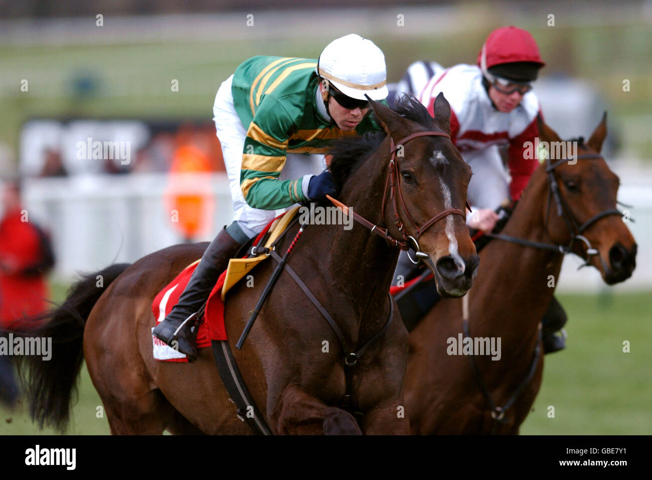 Baracouda cheltenham hi-res stock photography and images - Alamy