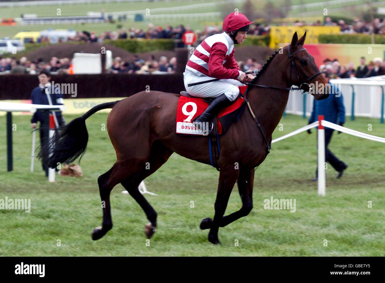 SH Boom ridden by Liam Cooper goes to post in The bonusprint.com Stayers' Hurdle Race Stock Photo