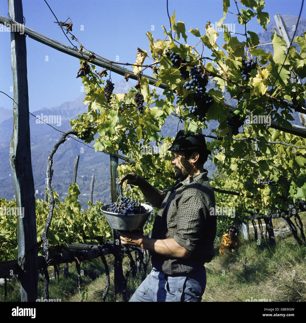 1980s wine hires stock photography and images Alamy