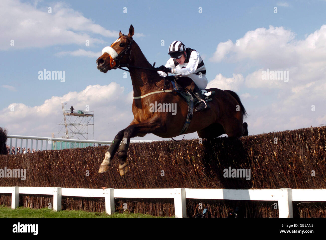 Horse and jockey melling hires stock photography and images Alamy
