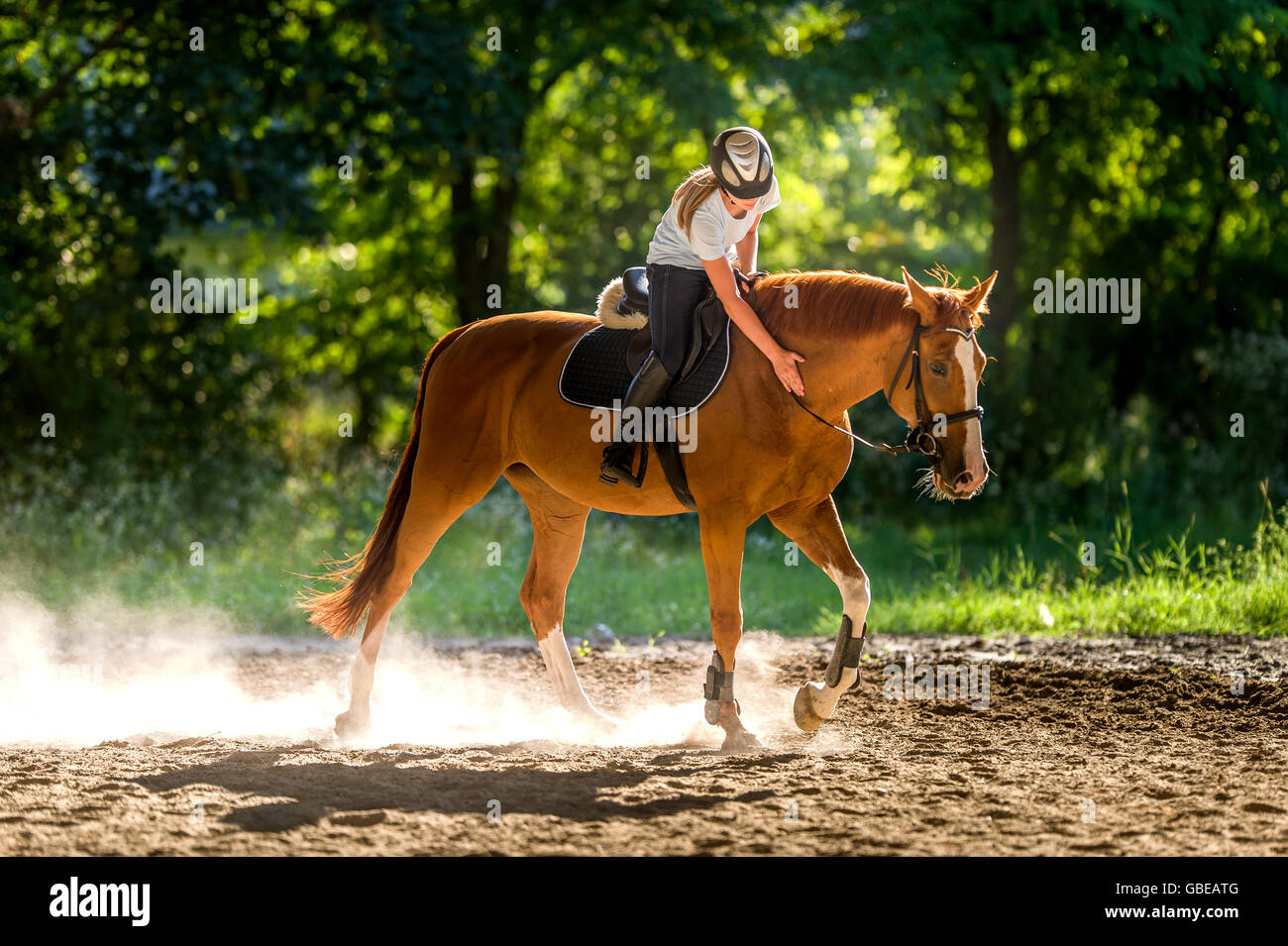Girl riding a horse Stock Photo