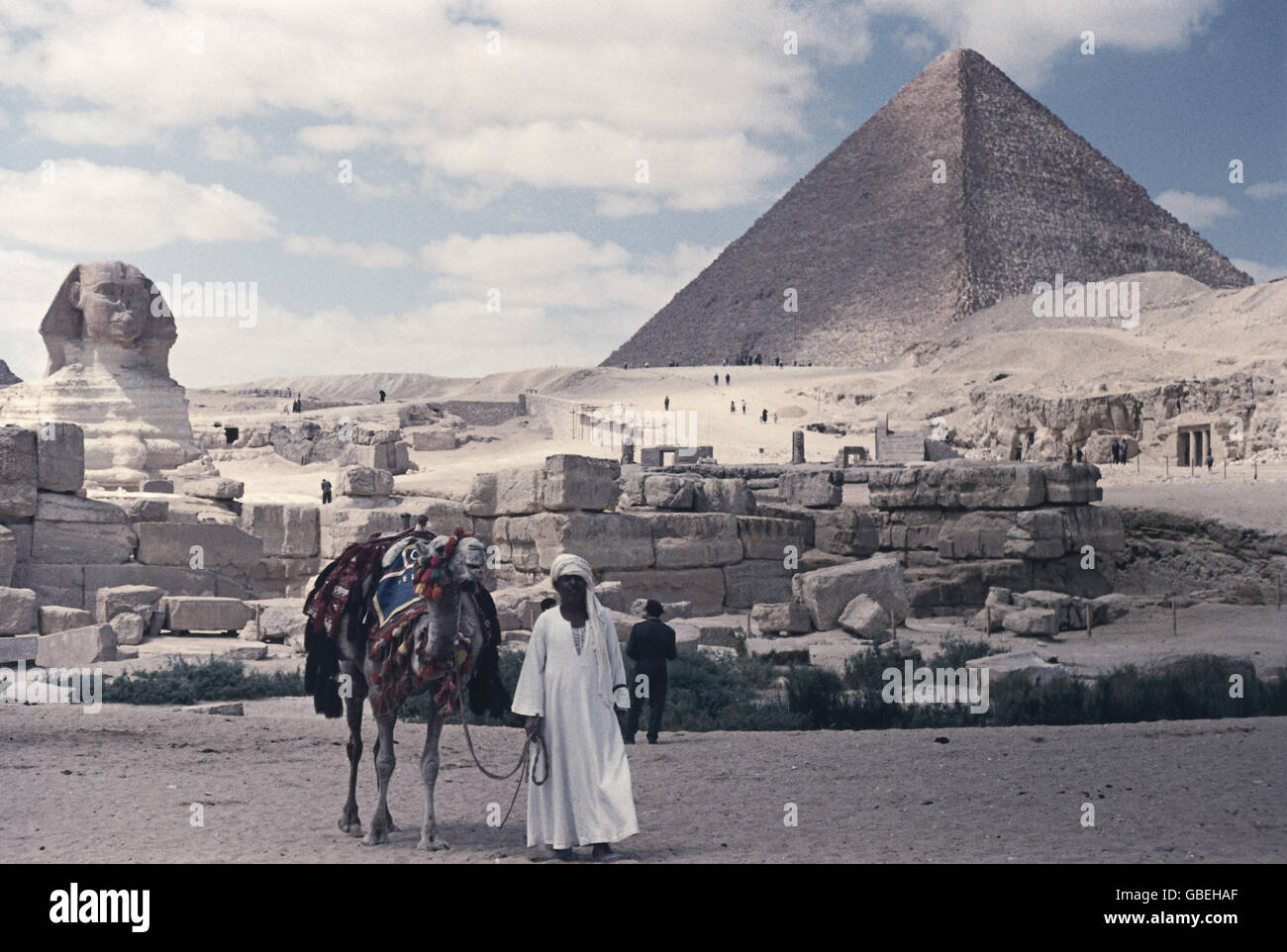 EGYPT ～エジプト～HUMAN Ancient Egyptian man's genome reveals his society's cross