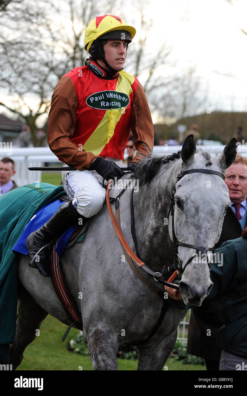 Horse racing royal artillery gold cup day sandown park hires stock