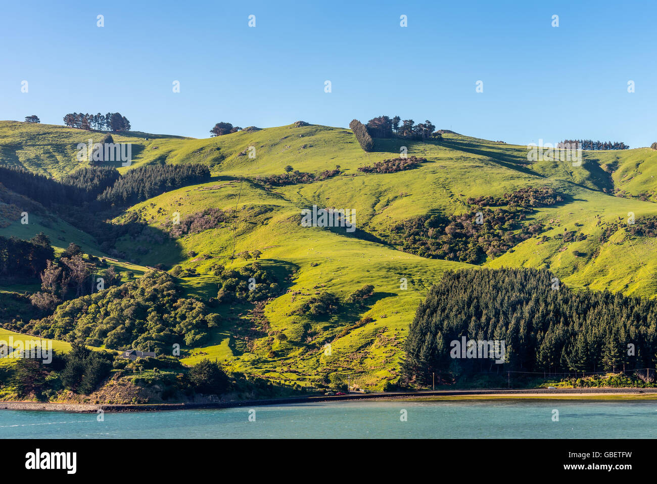 Beautiful landscape of the New Zealand - hills covered by green grass with herds of sheep -near Dunedin at Otago Region Southern Stock Photo