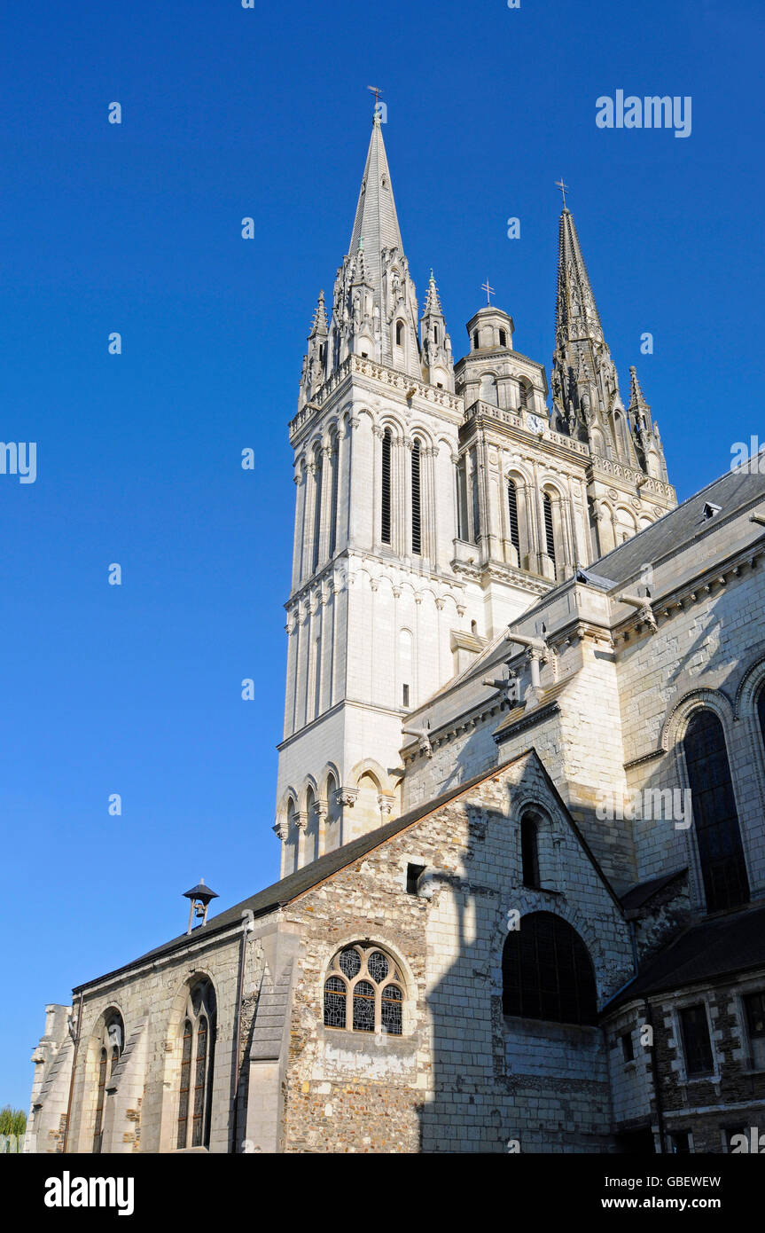 Cathedral Saint-Maurice, Angers, Maine-et-Loire, Pays de la Loire, France Stock Photo