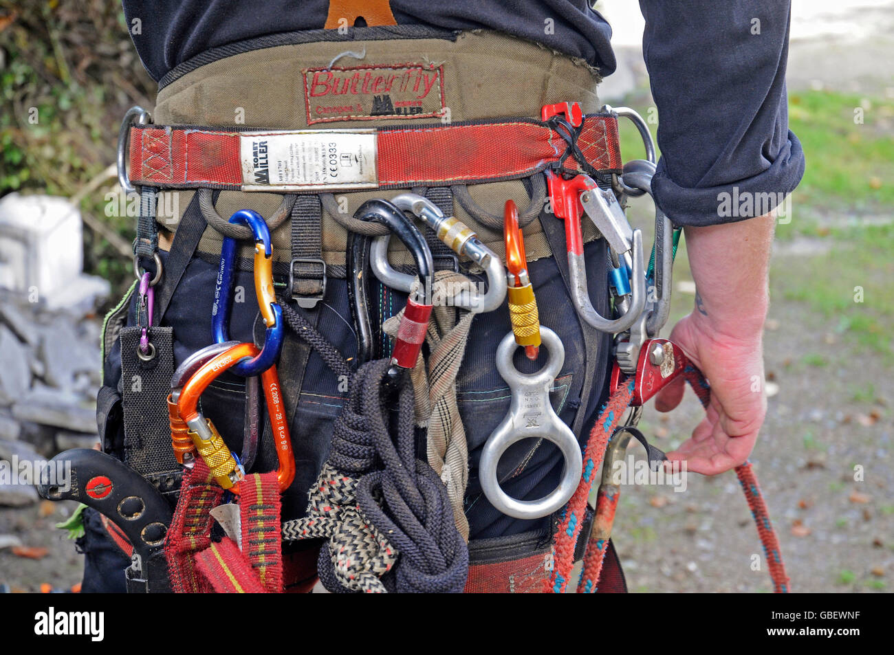 Arborist, equipment, tools, Germany / wood cutter, tree climber, tree care services Stock Photo