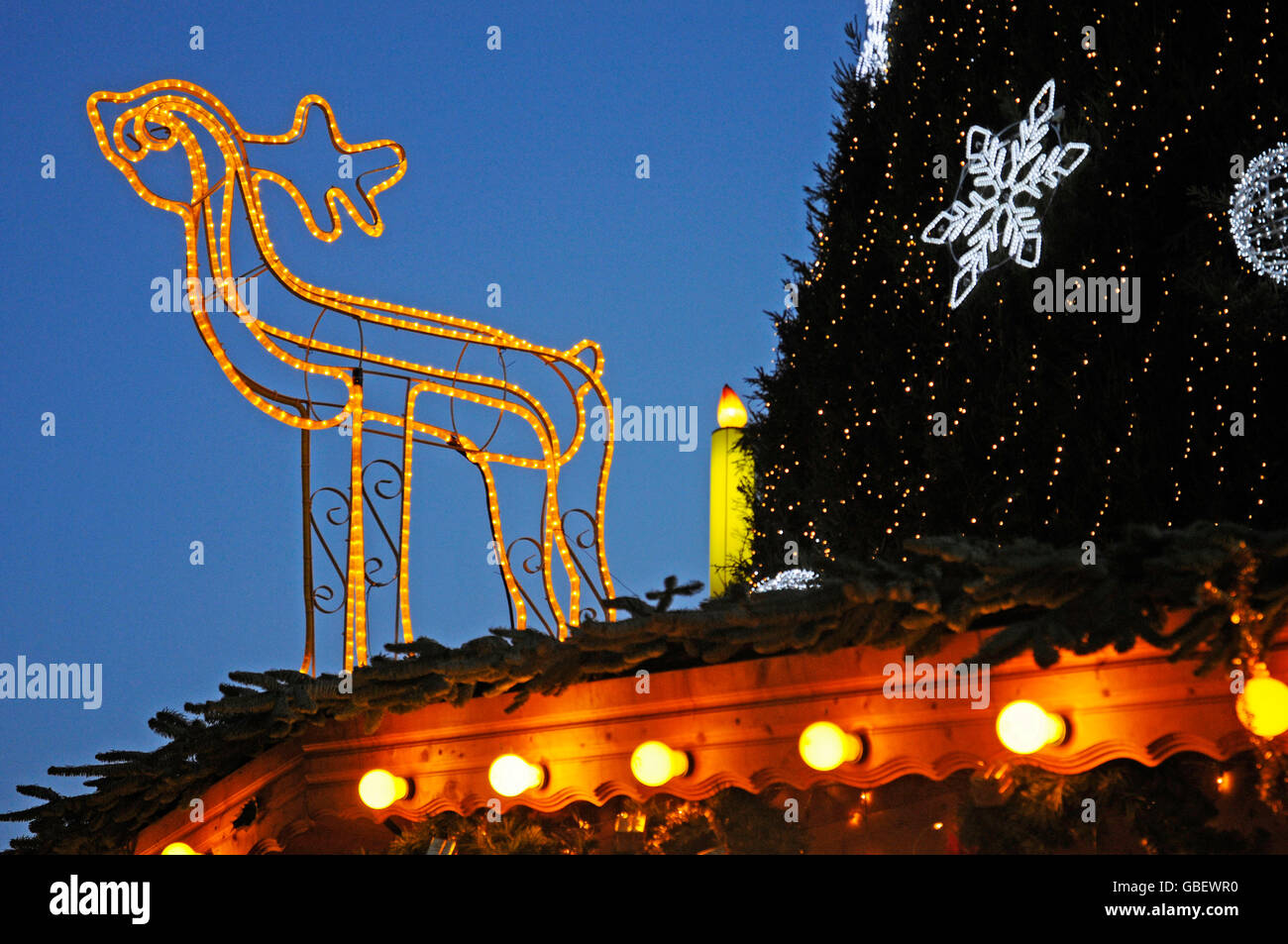 Illuminated reindeer, christmas tree, christmas market, Dortmund, North ...