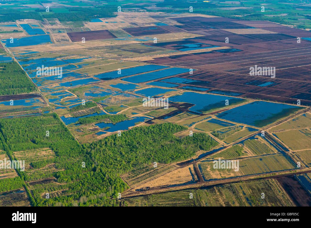agrarian country, Vechta, Lower Saxony, Germany Stock Photo