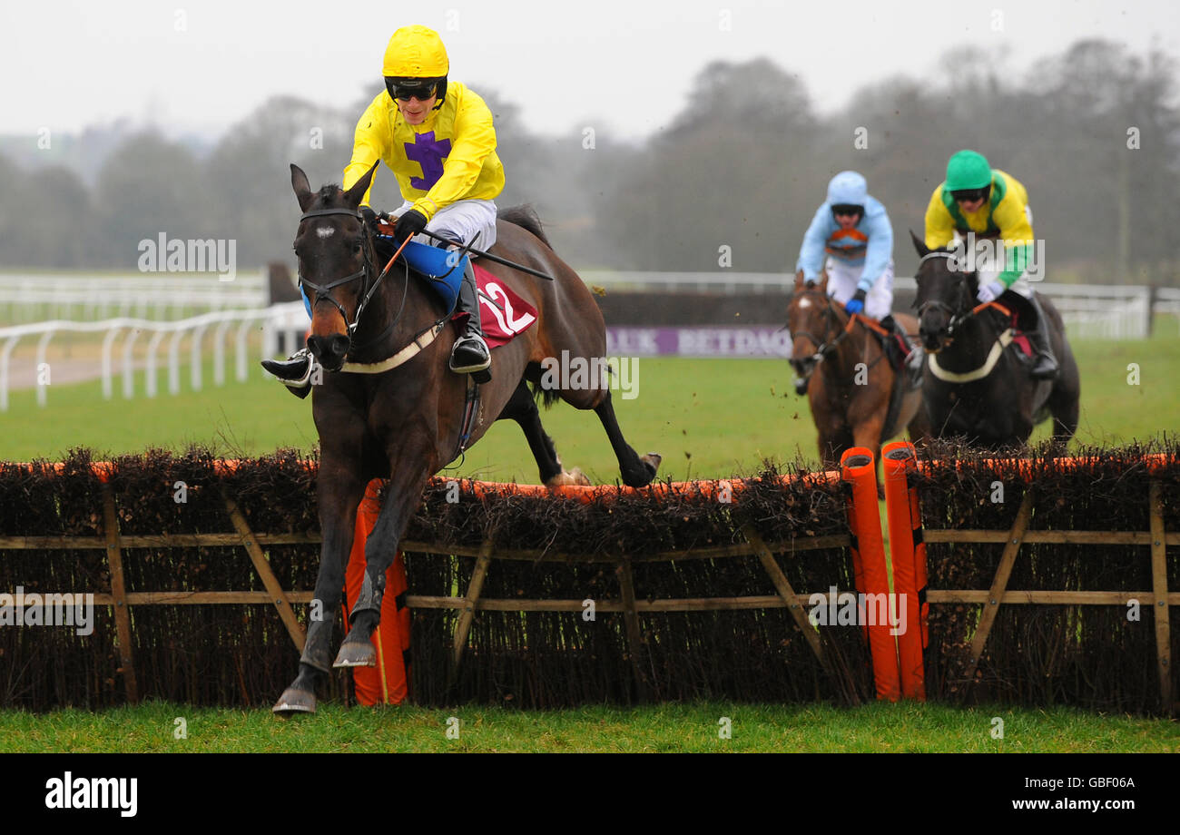 Horse racing the betdaq kent national folkestone racecourse hires