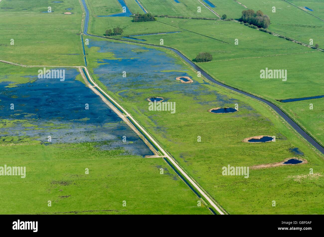 Agrarland, Landkreis Vechta, Oldenburger Muensterland, Niedersachsen, Deutschland Stock Photo