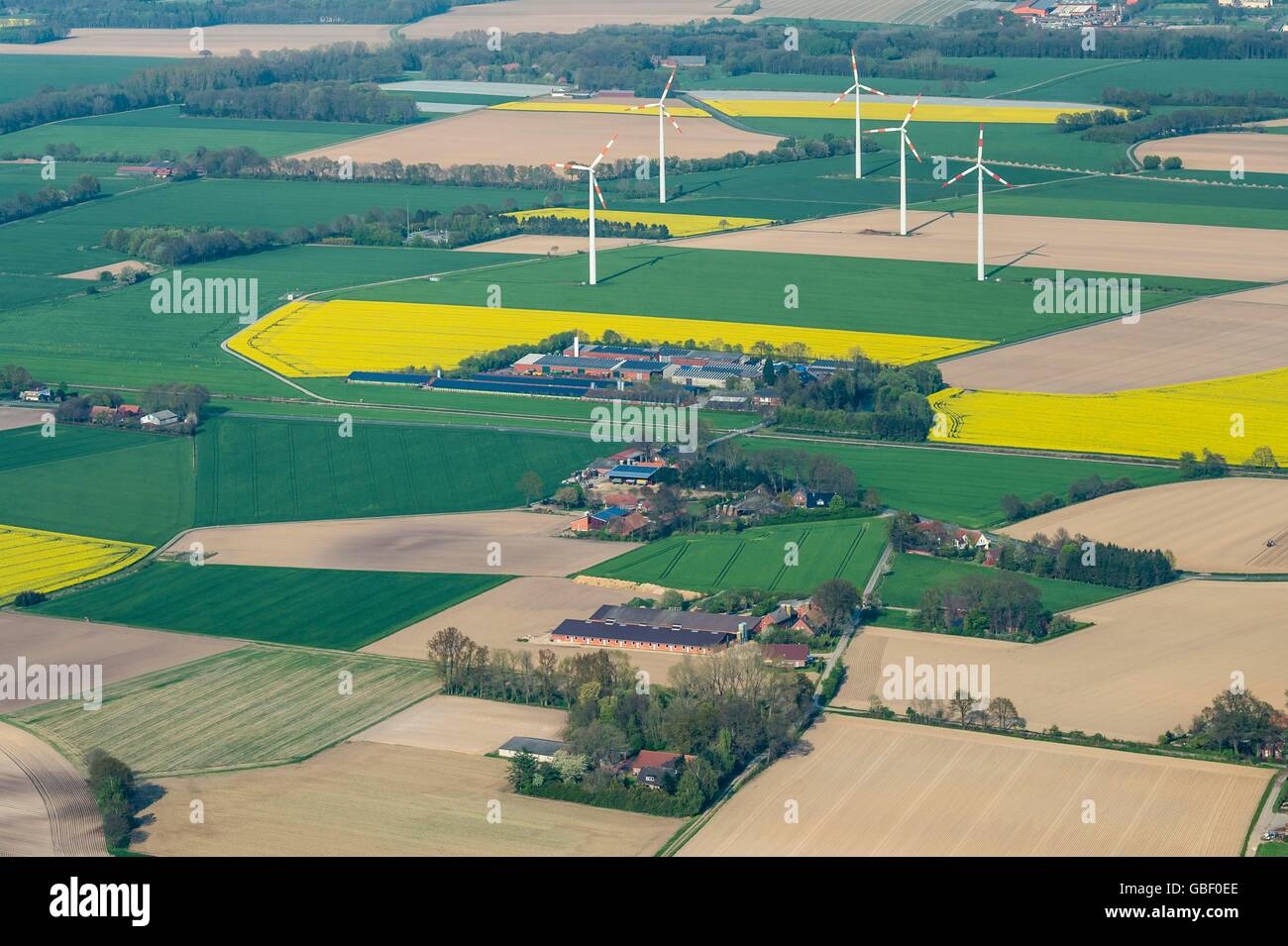 Windkraftraeder, Blick von Herrenholz Richtung Rechterfeld, Oldenburger Muensterland, Landkreis Vechta, Niedersachsen, Deutschland Stock Photo