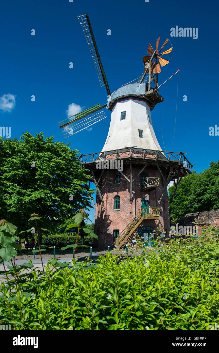 Windmuehle, Barssel an der Soeste, Oldenburger Muensterland, Niedersachsen, Deutschland Stock Photo