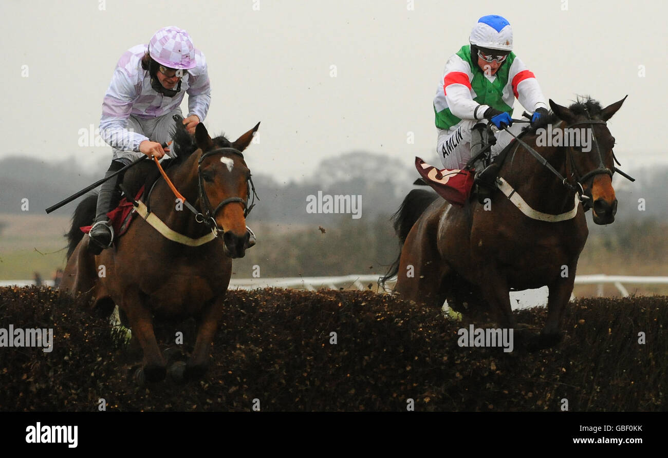 Horse Racing The Betdaq Kent National Folkestone Racecourse Stock