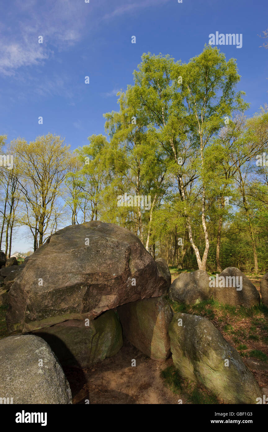 Stone age grave, Glaner Steine, Wildeshauser Geest, Lower Saxony, Germany Stock Photo