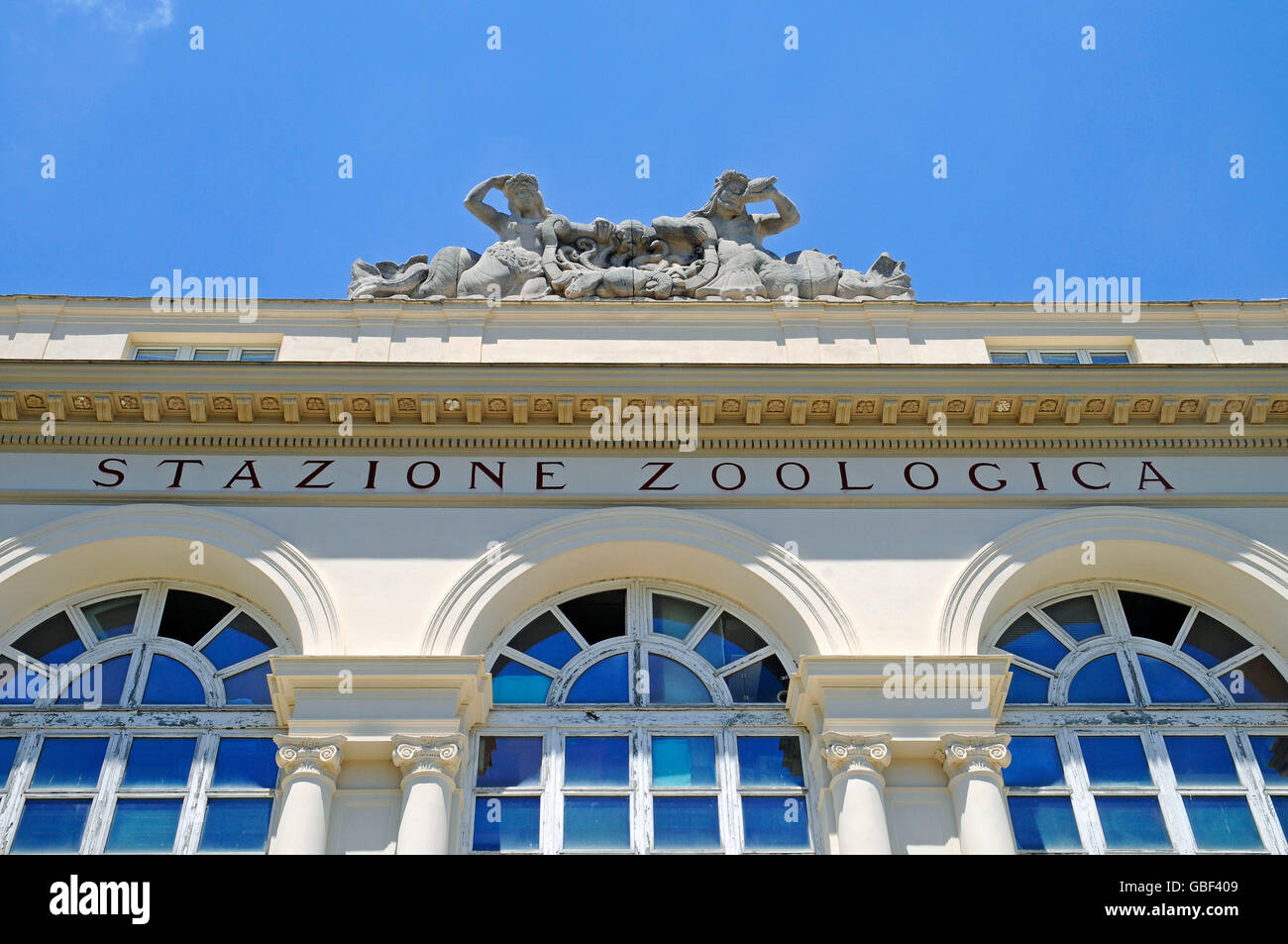 Stazione Zoologica, Zoological Station, Biological Research Institute, L' Acquario, Maritime Museum, Naples, Campania, Italy Stock Photo - Alamy