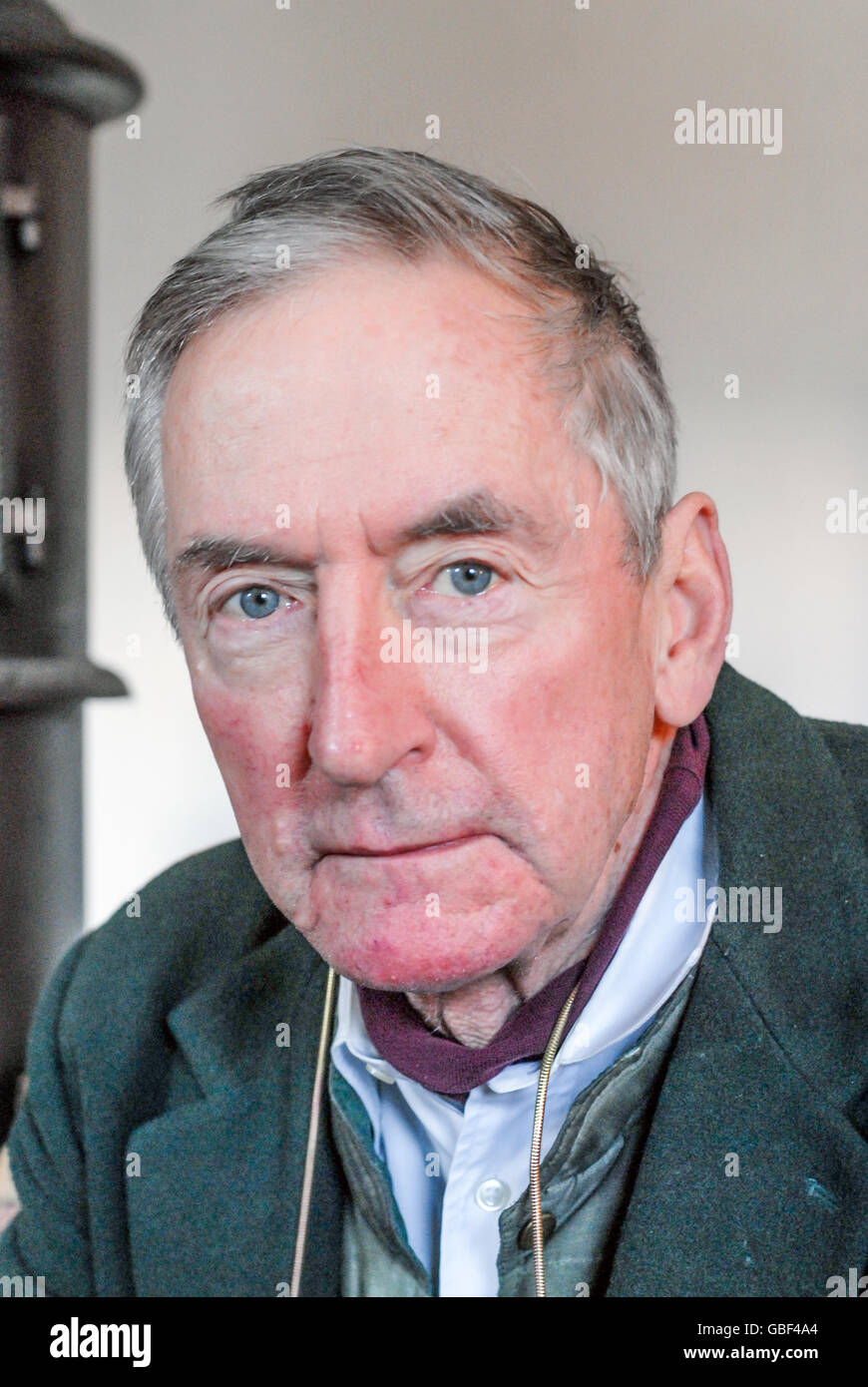 Author and illustrator Raymond Briggs at home in Sussex. Stock Photo