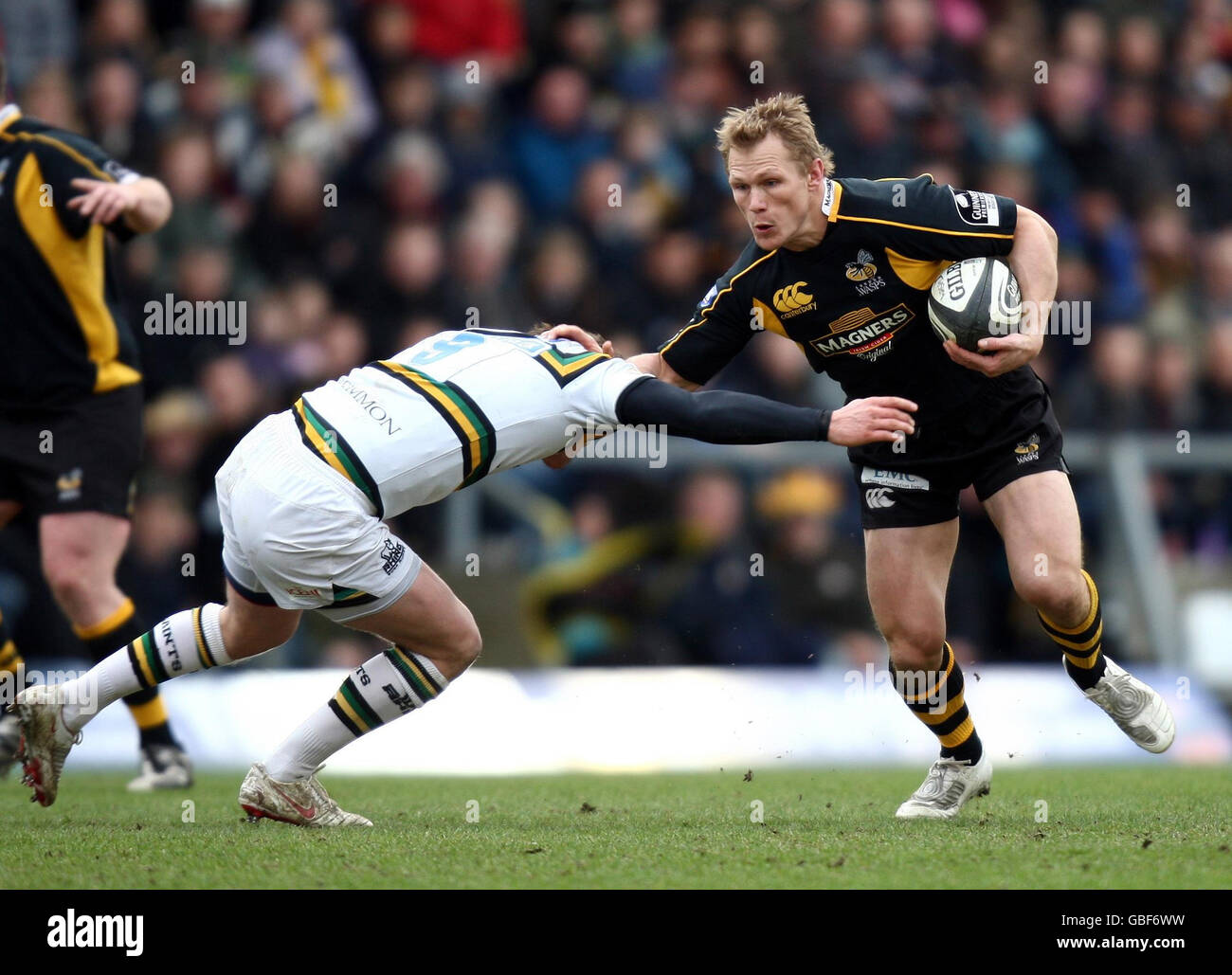 Rugbyu wasps action tackling mangnb hires stock photography and images