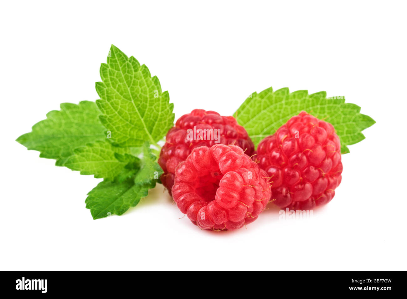 raspberries with mint leaf closeup Stock Photo