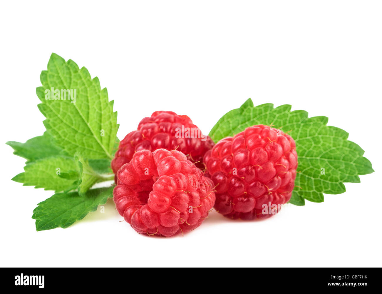 raspberries with mint leaf on white background Stock Photo